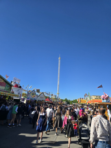 2026mf_440